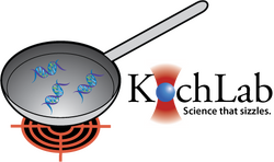 Burner has a black background. Same font as before with ability to switch.