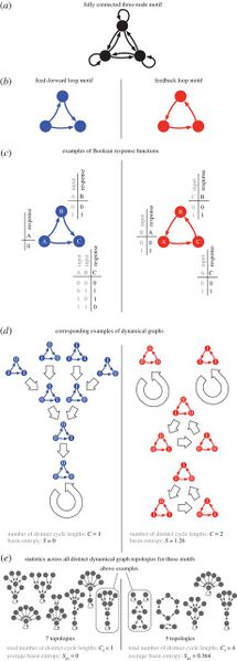 File:MOweek10 Fig1.jpg