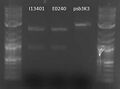 Thumbnail for version as of 14:53, 22 January 2008