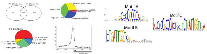 File:BMC informatics ChIPseq.png