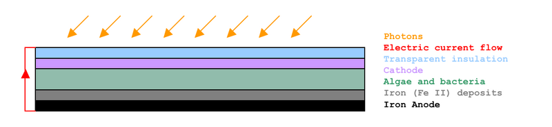 File:Biobattery Design.png