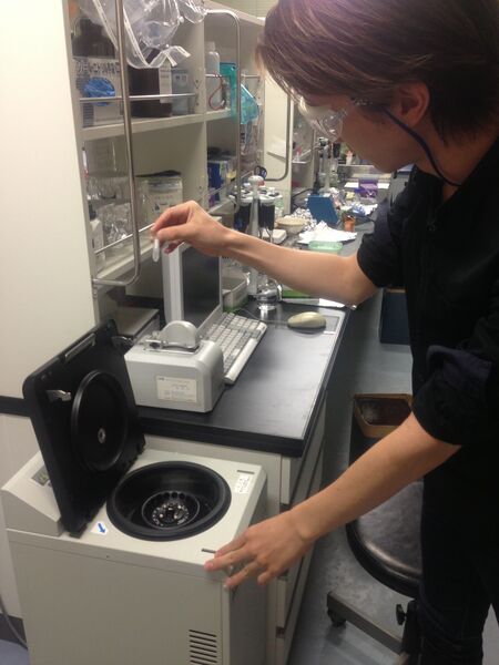 File:Experiment 3.JPG