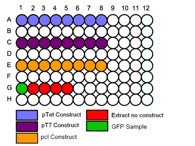 96 Plate Schematic