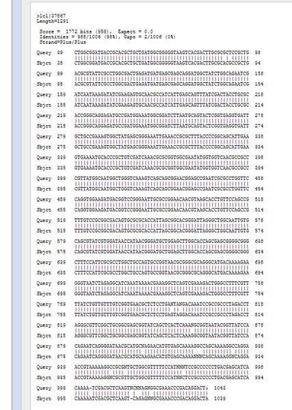 File:Seq1 TR RED.png