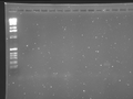 Thumbnail for version as of 01:01, 9 November 2010