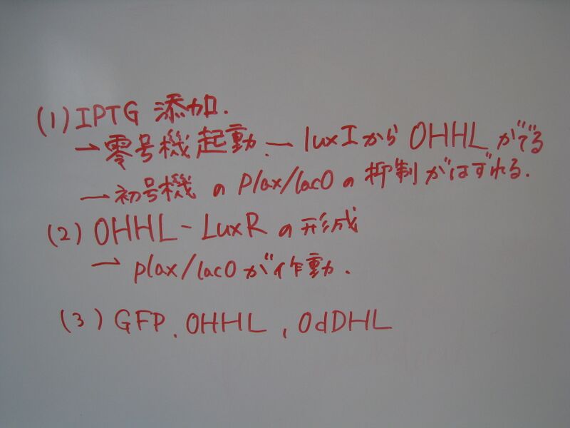 File:Chiba 25aug2.JPG