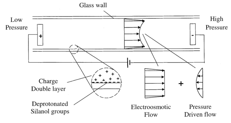 File:Figure 1 electroosmotic flow.png