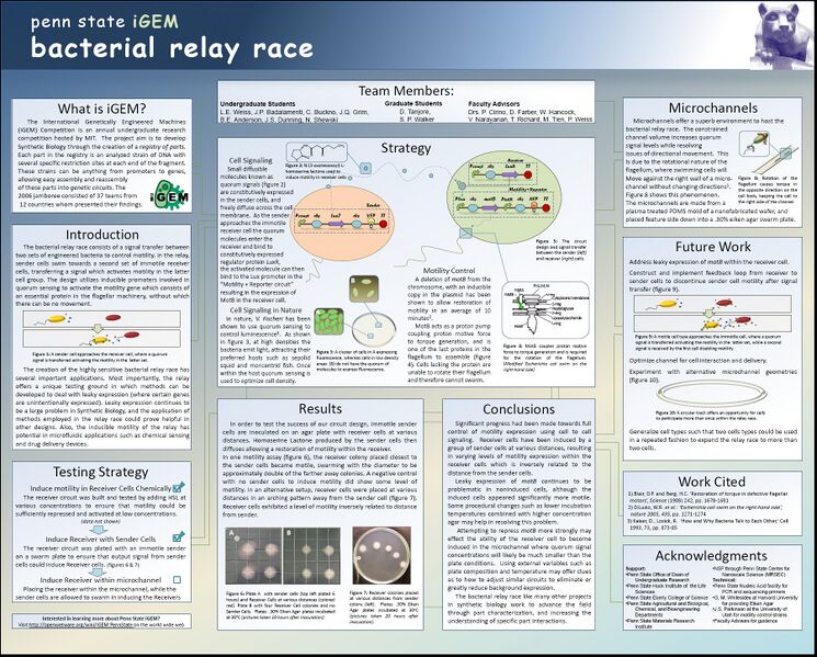 File:IBE2007MeetingPennStateBacterialRelayRace.jpg