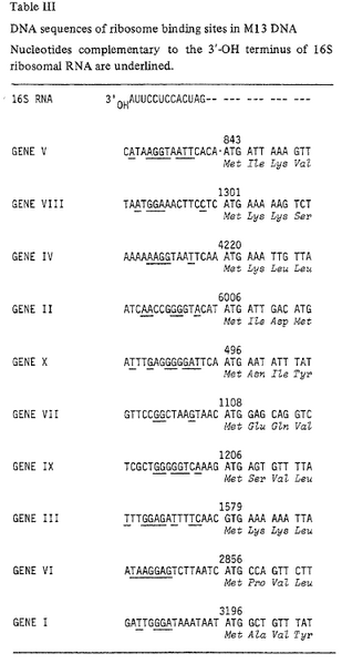 File:RBS gene80.png