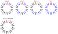 Thumbnail for version as of 05:09, 31 August 2015