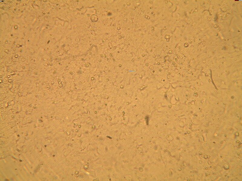 File:Mod2Day3Part1-6a