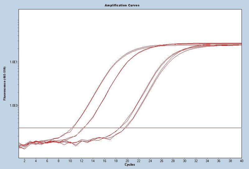 File:S14 M3D5 WFxt 18S-noiseband.jpg