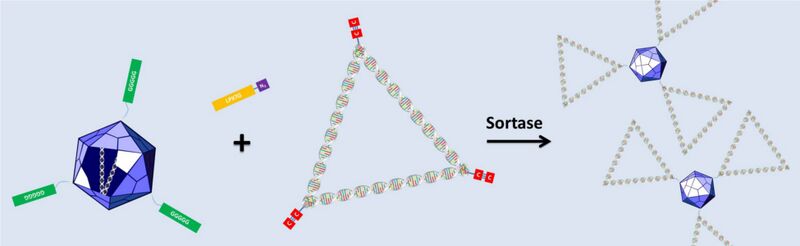 File:UP12 slider3.jpg