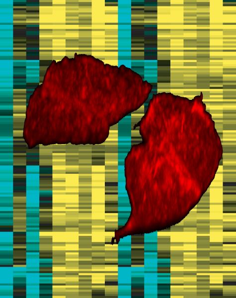 File:1158170Revisedcoverart copie.jpg