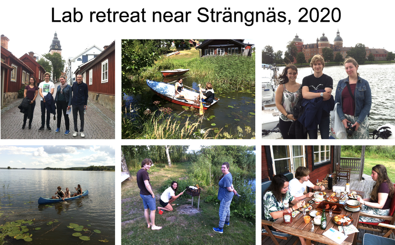 File:2020 Strängnäs.png