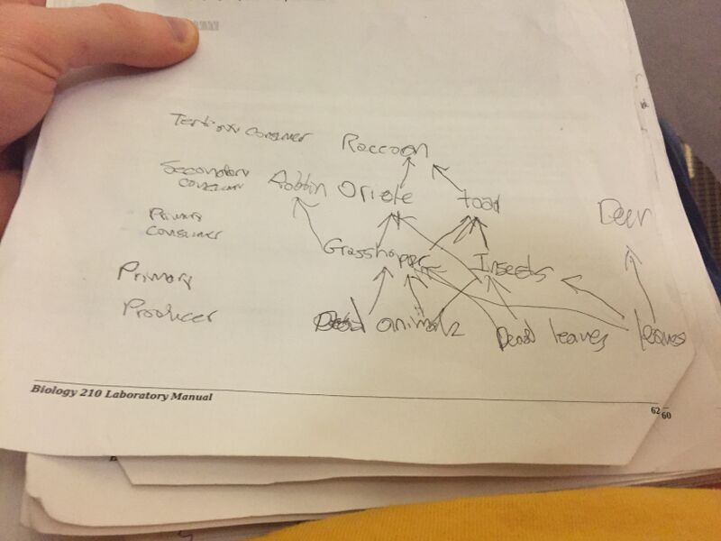 File:BME-103 Group2 Cadd.jpg