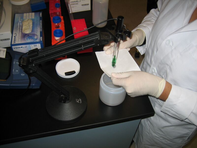 File:Drying1.jpg