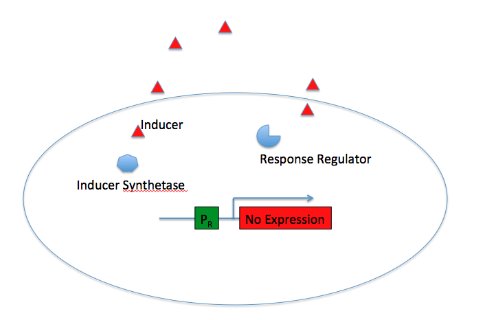 Gram-negative QS System - Off