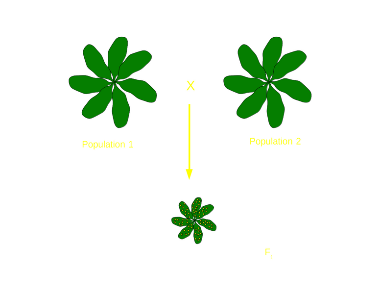 File:Hybrid schematic.png
