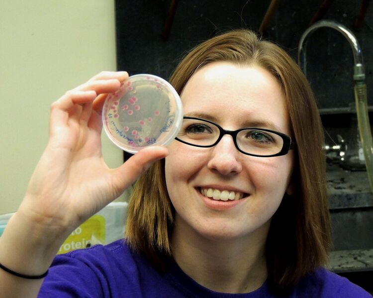 File:KC labplate.jpg