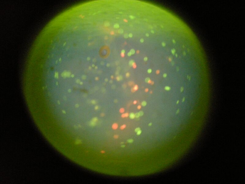 File:S14 TR M3D3 YlwPnk 05.jpg