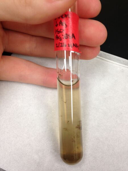 File:150, oven, dAg.jpg