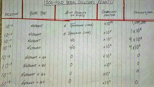 serial dilution results table