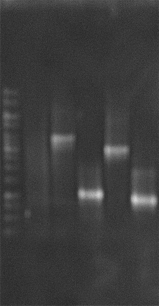 File:Change RBS 25Aug2010.JPG