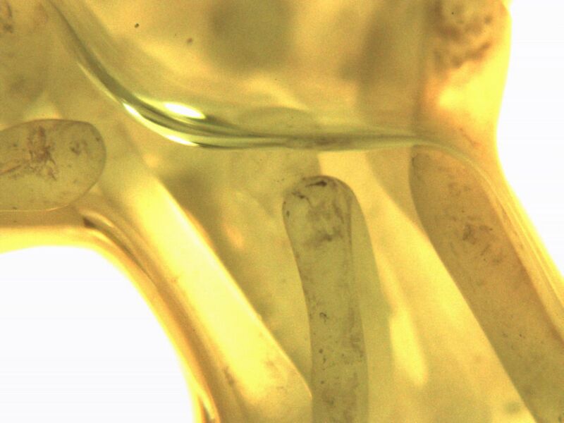 File:Ethanol myo.jpg