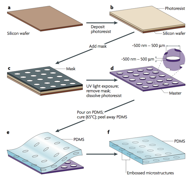 File:REM Process.png