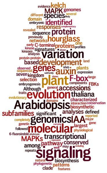 File:Wordle 03-13.png