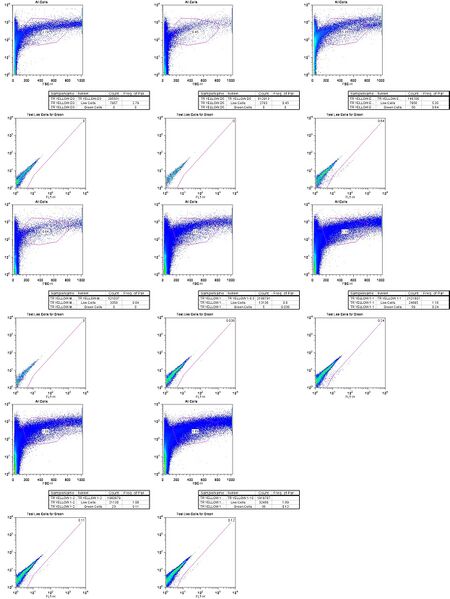 File:Yellow TR Flow.jpg