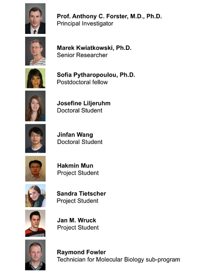Minimal Cell Project