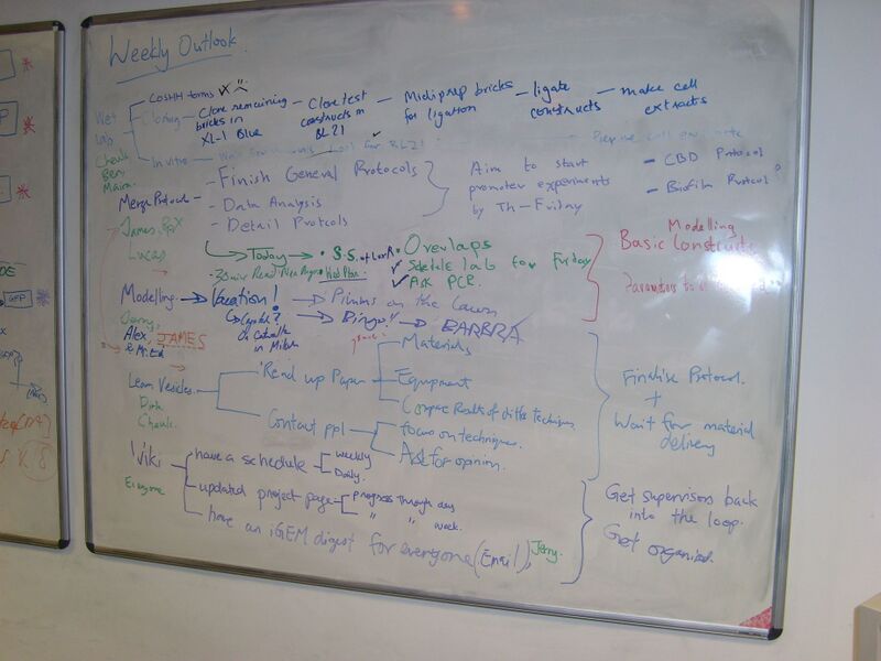 File:IC07 image069.jpg