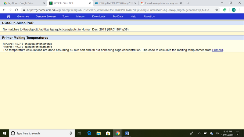 File:Prime test1 .png