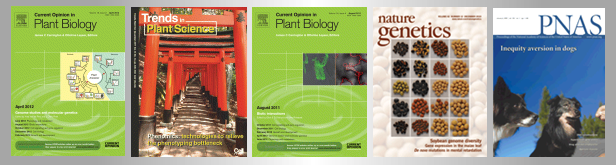 File:Publications alcazar.tif