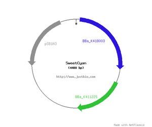 Plasmid Map of "Sweet Cyan"