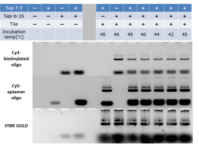 File:Tile double insertion.png