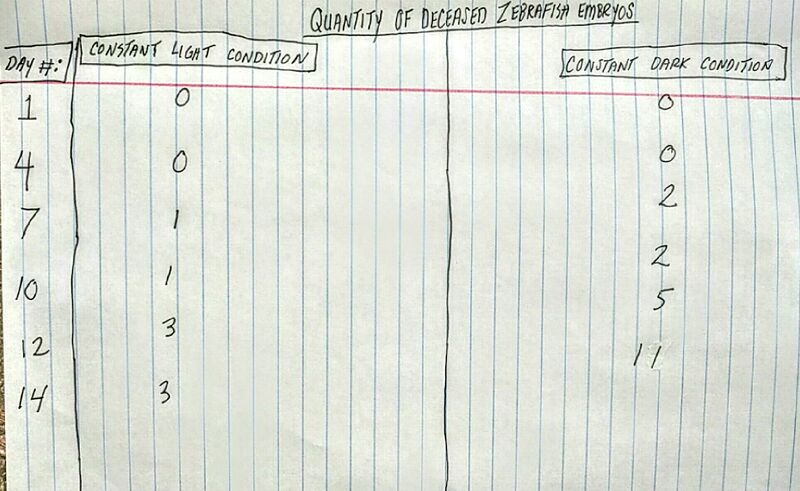 File:--BME103 Group301 AUBIO210.jpg--