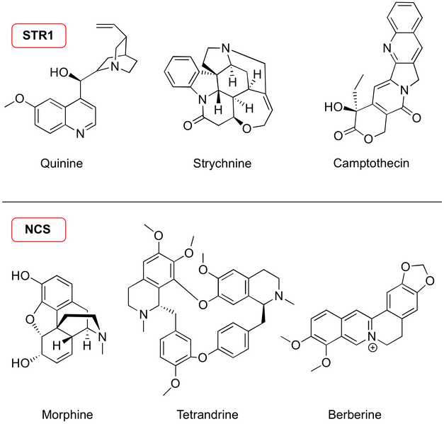 File:2011 Waldmann ACI.png