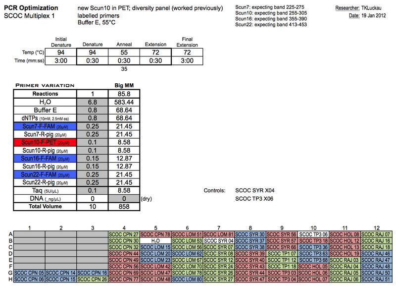 File:20120119 PCRb.png