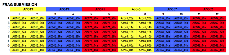 File:20121115 Frag.png