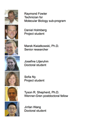 Minimal Cell Project