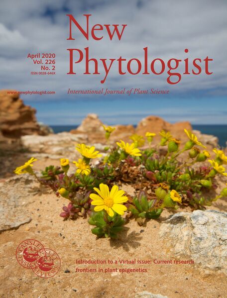 File:New Phytol Cover April 2020.jpg