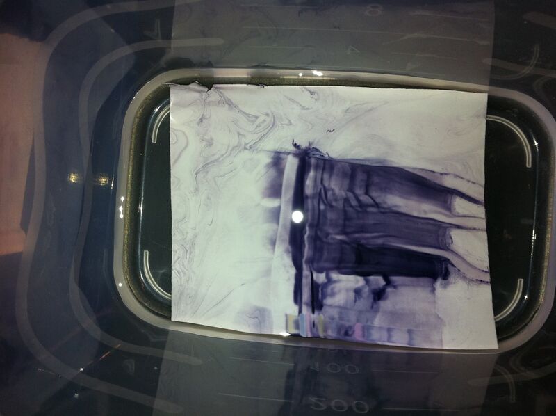 File:Pink Western.jpg