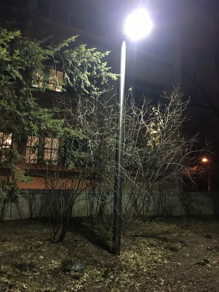 File:Transect Light Pole.JPG