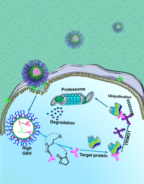 File:Xu lab Nano-ERASER.png