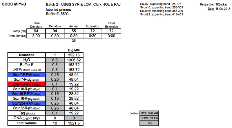 File:20121018 PCR.png