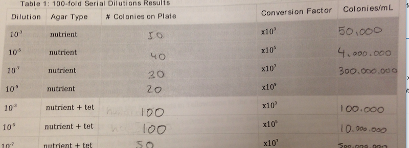 File:BME103 Group3 bacteria.1200pxl.png