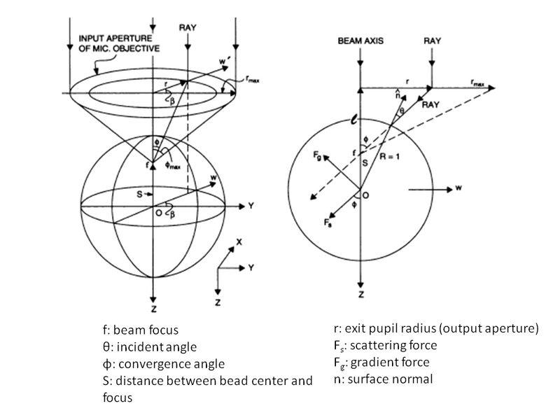 File:Force trap.png